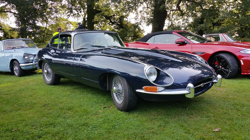 classic cars underneath trees at Coombe park