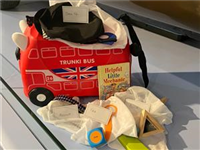 Mini Explorer Trail & Play Boxes